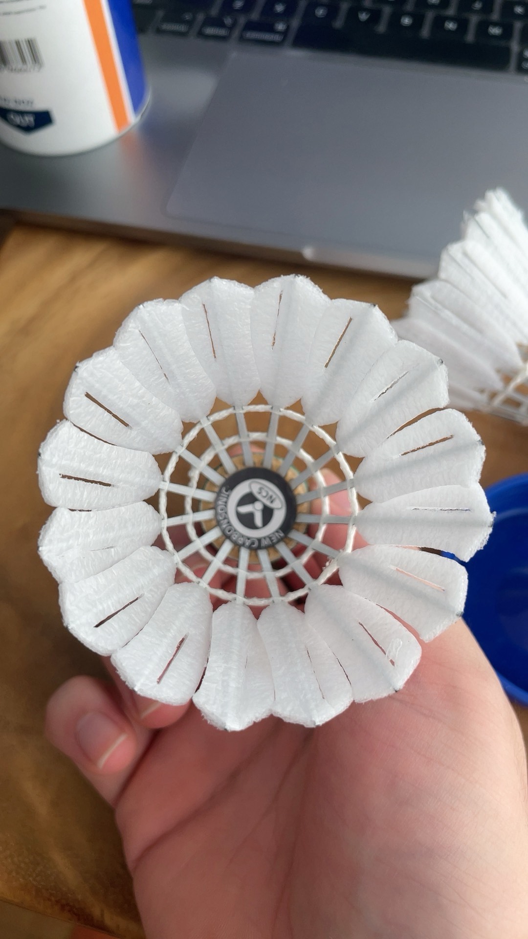 可以容纳数 可以容纳数