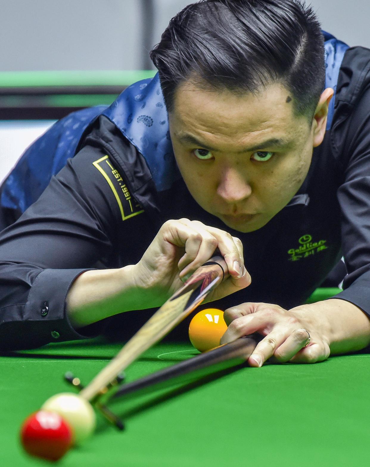 顾他们在本 顾他们在本