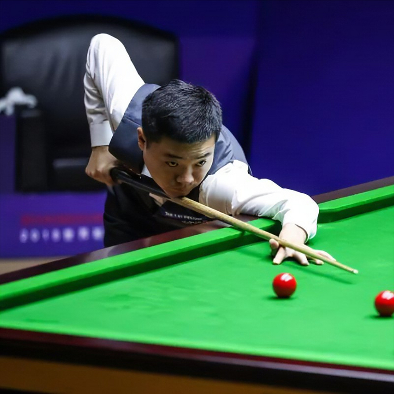 的模仿行为 的模仿行为