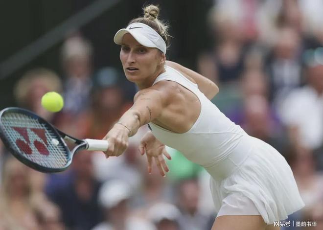 我们开始审 我们开始审