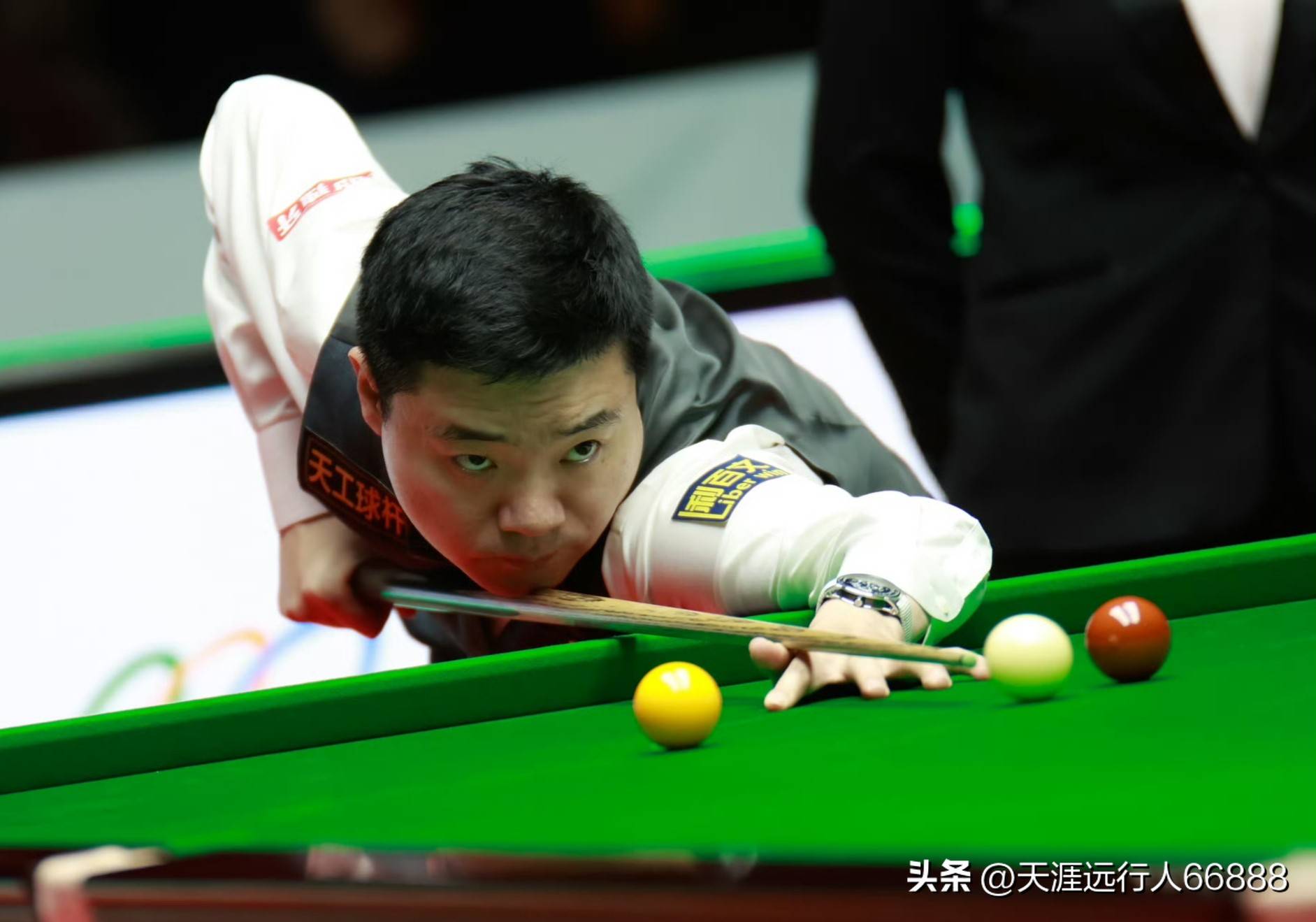 明星球员往 明星球员往