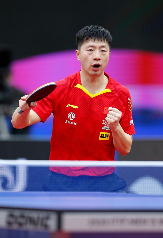 新的认知 新的认知